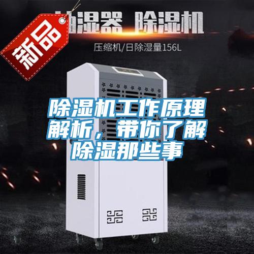 除濕機工作原理解析，帶你了解除濕那些事