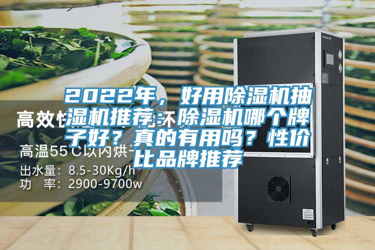 2022年，好用除濕機抽濕機推薦：除濕機哪個牌子好？真的有用嗎？性價比品牌推薦