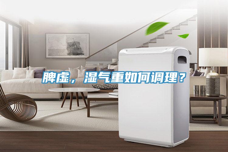 脾虛，濕氣重如何調(diào)理？