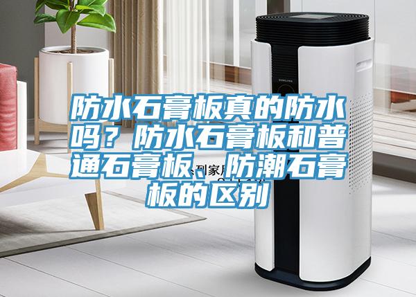 防水石膏板真的防水嗎？防水石膏板和普通石膏板、防潮石膏板的區(qū)別