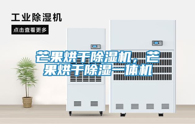 芒果烘干除濕機(jī)，芒果烘干除濕一體機(jī)