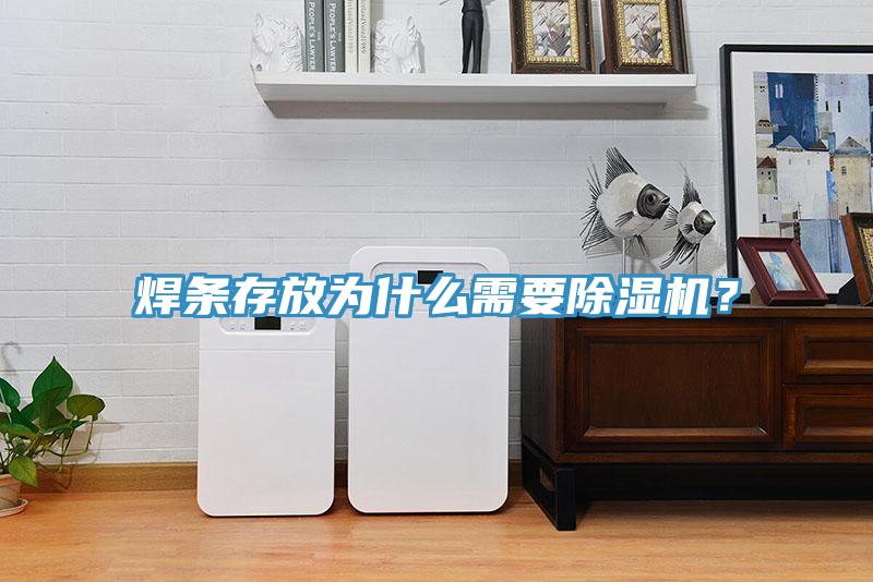 焊條存放為什么需要除濕機(jī)？