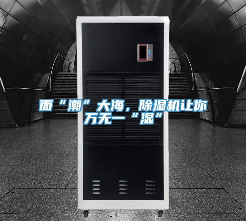 面“潮”大海，除濕機(jī)讓你萬(wàn)無(wú)一“濕”