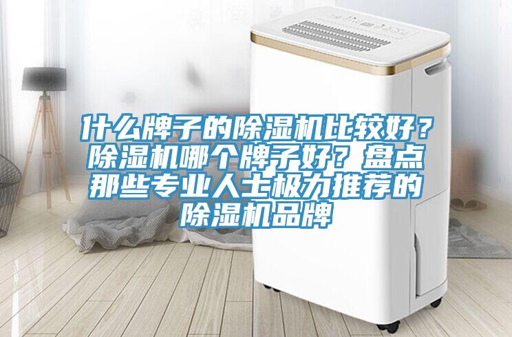 什么牌子的除濕機(jī)比較好？除濕機(jī)哪個(gè)牌子好？盤點(diǎn)那些專業(yè)人士極力推薦的除濕機(jī)品牌