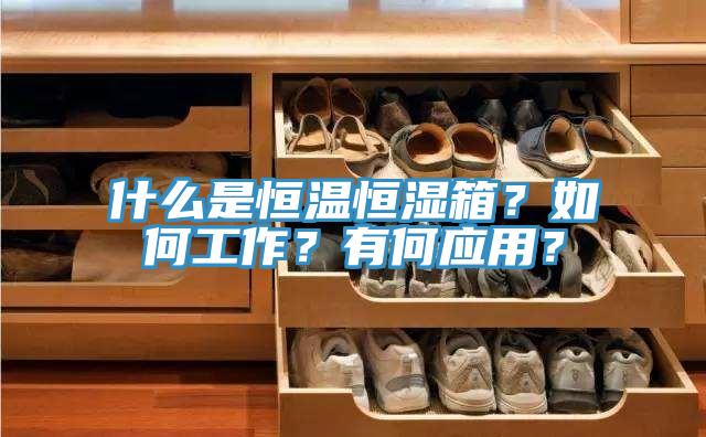 什么是恒溫恒濕箱？如何工作？有何應(yīng)用？
