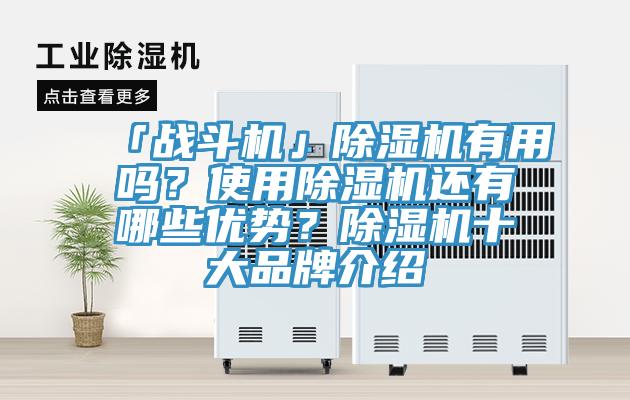 「戰(zhàn)斗機」除濕機有用嗎？使用除濕機還有哪些優(yōu)勢？除濕機十大品牌介紹