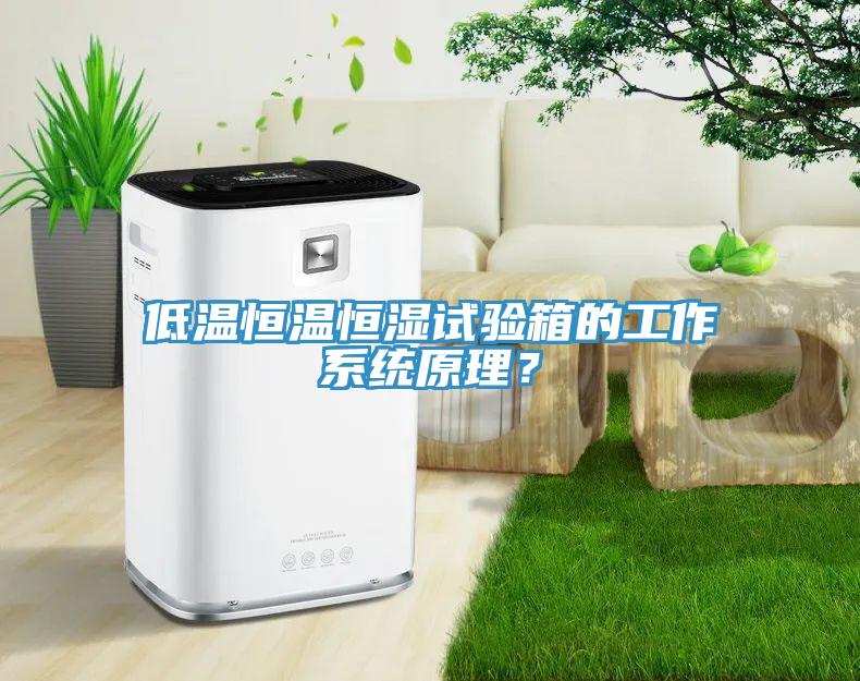 低溫恒溫恒濕試驗箱的工作系統(tǒng)原理？