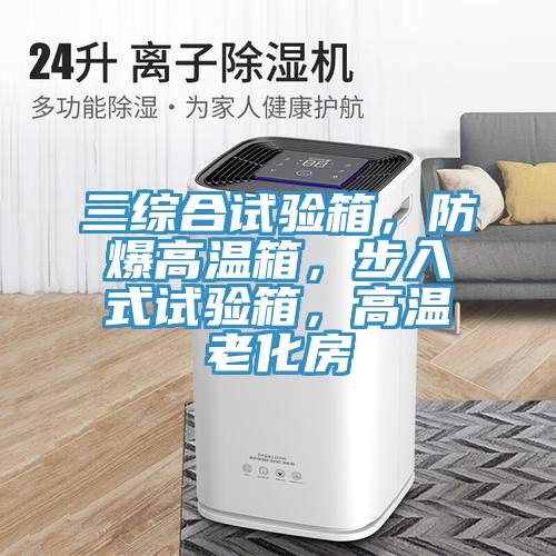 三綜合試驗箱，防爆高溫箱，步入式試驗箱，高溫老化房
