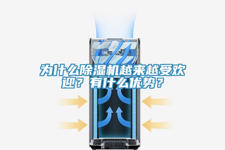 為什么除濕機越來越受歡迎？有什么優(yōu)勢？