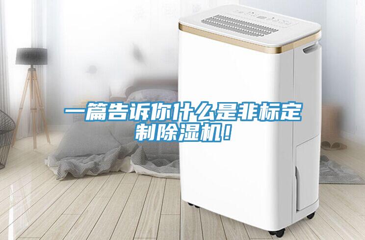 一篇告訴你什么是非標(biāo)定制除濕機(jī)！