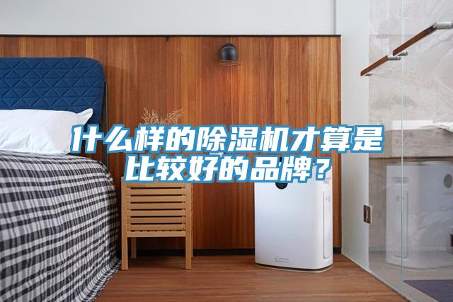 什么樣的除濕機才算是比較好的品牌？