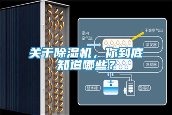 關(guān)于除濕機(jī)，你到底知道哪些？