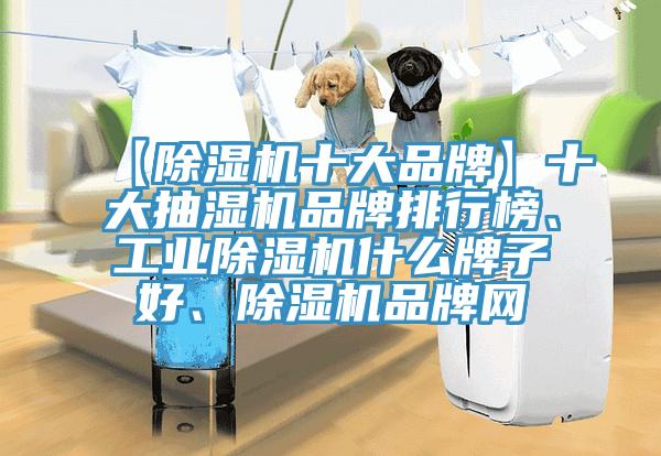 【除濕機十大品牌】十大抽濕機品牌排行榜、工業(yè)除濕機什么牌子好、除濕機品牌網(wǎng)
