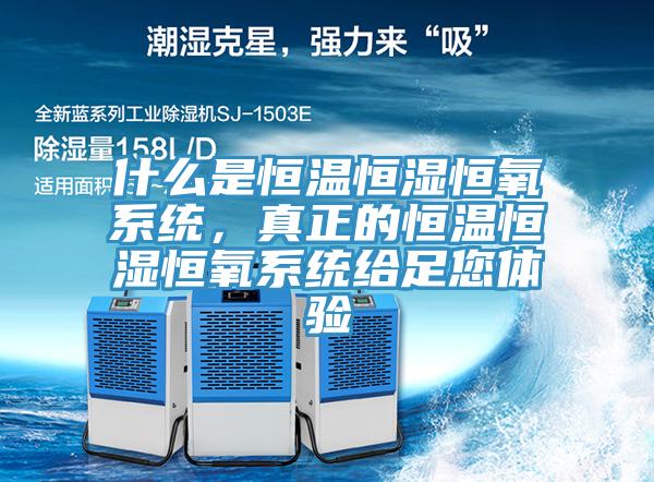 什么是恒溫恒濕恒氧系統(tǒng)，真正的恒溫恒濕恒氧系統(tǒng)給足您體驗(yàn)