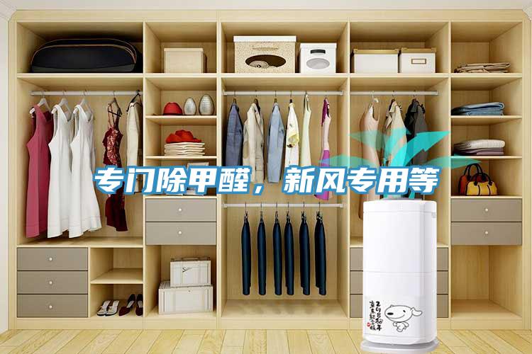 專門除甲醛，新風(fēng)專用等