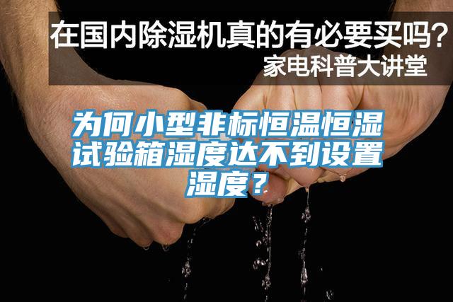 為何小型非標恒溫恒濕試驗箱濕度達不到設置濕度？