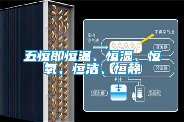 五恒即恒溫、恒濕、恒氧、恒潔、恒靜