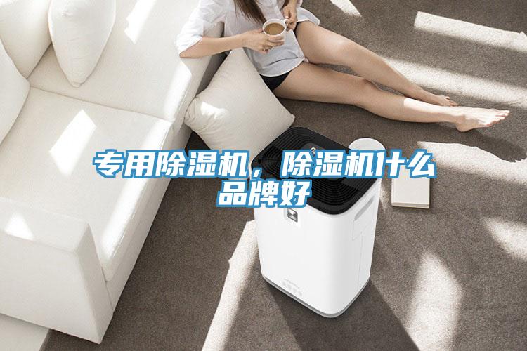 專用除濕機(jī)，除濕機(jī)什么品牌好