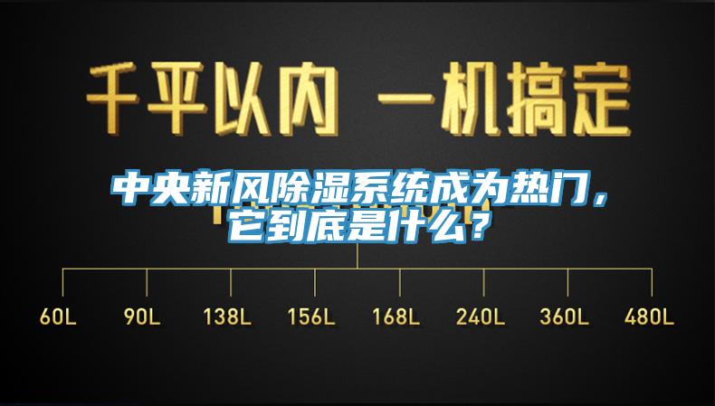 中央新風除濕系統(tǒng)成為熱門，它到底是什么？