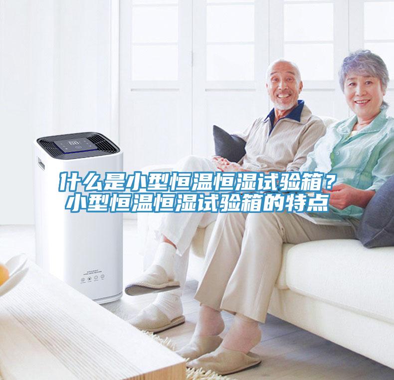 什么是小型恒溫恒濕試驗(yàn)箱？小型恒溫恒濕試驗(yàn)箱的特點(diǎn)