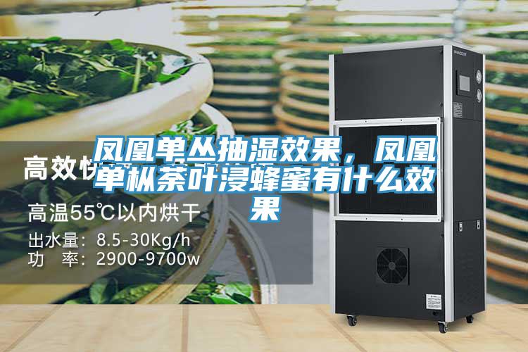 鳳凰單叢抽濕效果，鳳凰單樅荼葉浸蜂蜜有什么效果