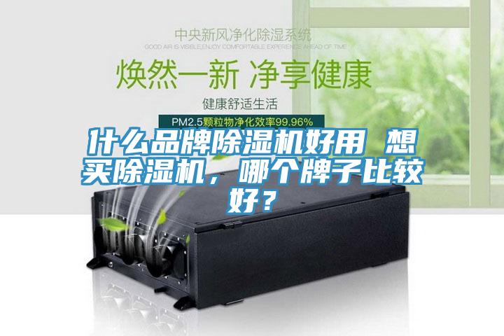 什么品牌除濕機好用 想買除濕機，哪個牌子比較好？