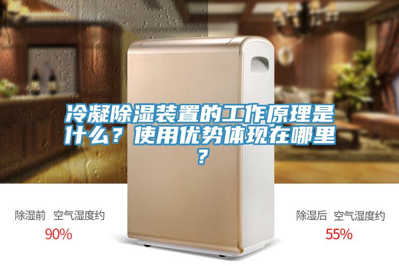 冷凝除濕裝置的工作原理是什么？使用優(yōu)勢體現(xiàn)在哪里？