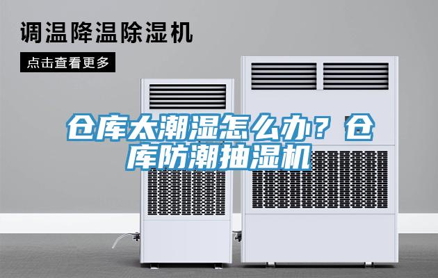 倉庫太潮濕怎么辦？倉庫防潮抽濕機
