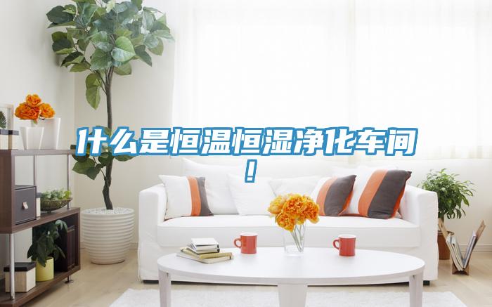 什么是恒溫恒濕凈化車間！