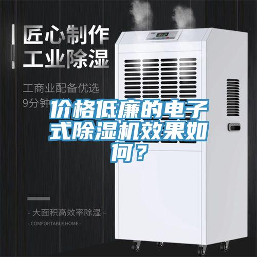 價(jià)格低廉的電子式除濕機(jī)效果如何？