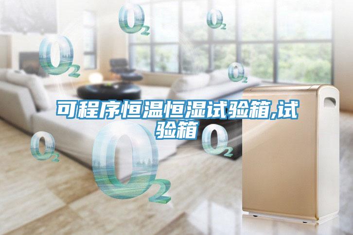 可程序恒溫恒濕試驗(yàn)箱,試驗(yàn)箱