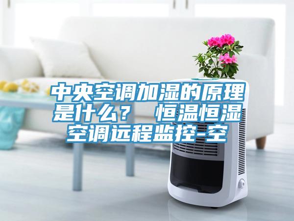 中央空調(diào)加濕的原理是什么？ 恒溫恒濕空調(diào)遠程監(jiān)控-空