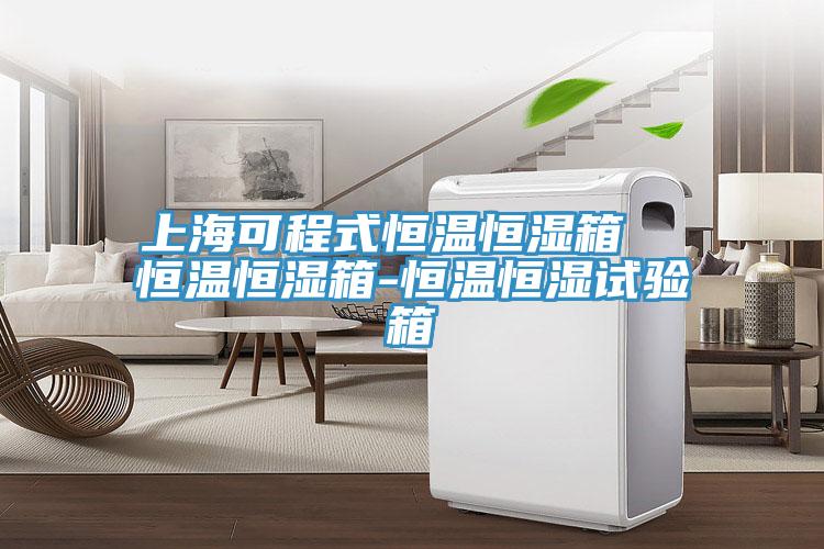 上?？沙淌胶銣睾銤裣? 恒溫恒濕箱-恒溫恒濕試驗箱
