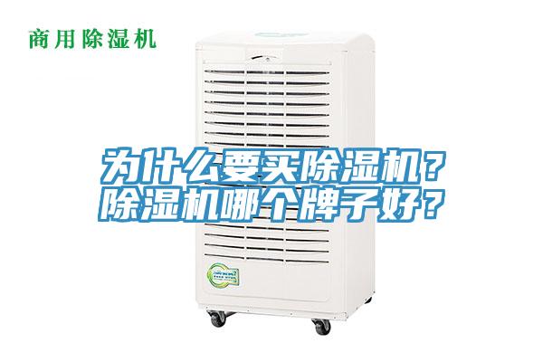 為什么要買除濕機？除濕機哪個牌子好？