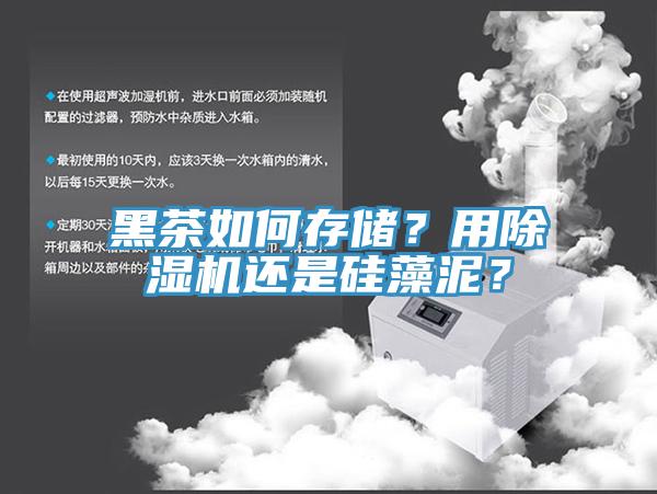 黑茶如何存儲？用除濕機還是硅藻泥？