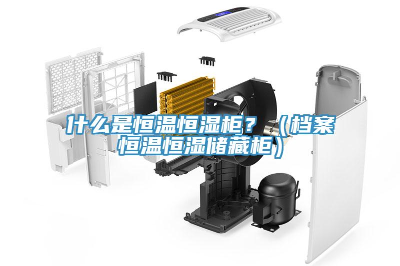 什么是恒溫恒濕柜？（檔案恒溫恒濕儲(chǔ)藏柜）