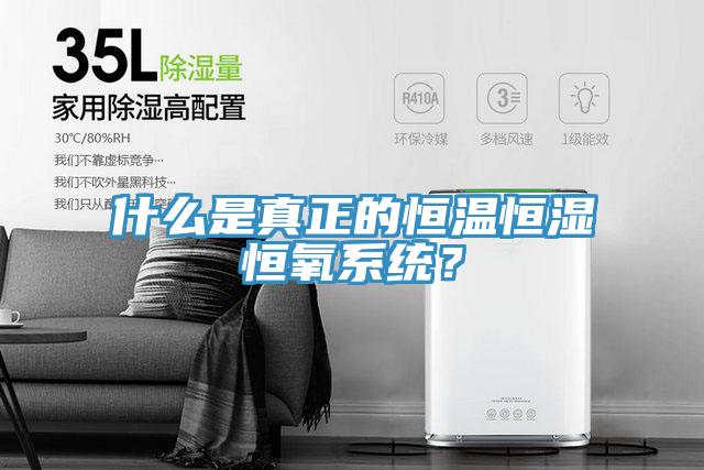 什么是真正的恒溫恒濕恒氧系統(tǒng)？