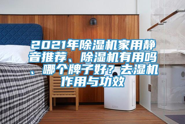 2021年除濕機(jī)家用靜音推薦、除濕機(jī)有用嗎、哪個(gè)牌子好？去濕機(jī)作用與功效