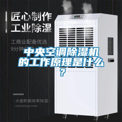 中央空調(diào)除濕機的工作原理是什么？