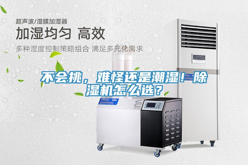 不會挑，難怪還是潮濕！除濕機(jī)怎么選？