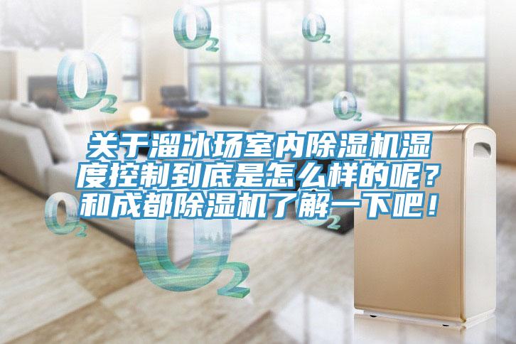 關(guān)于溜冰場(chǎng)室內(nèi)除濕機(jī)濕度控制到底是怎么樣的呢？和成都除濕機(jī)了解一下吧！