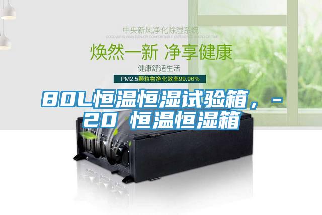 80L恒溫恒濕試驗箱，-20℃恒溫恒濕箱