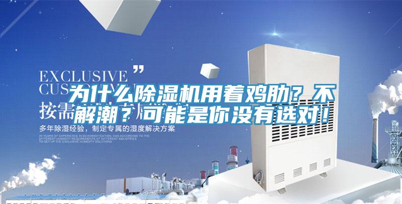 為什么除濕機用著雞肋？不解潮？可能是你沒有選對！