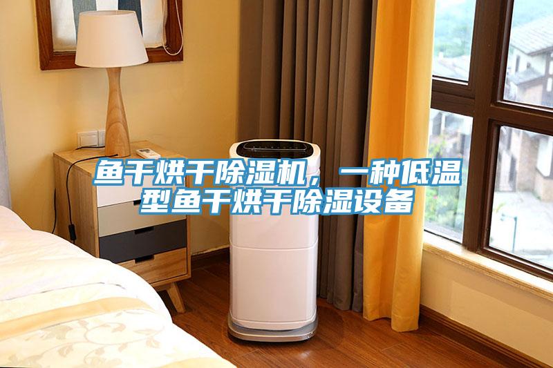 魚干烘干除濕機(jī)，一種低溫型魚干烘干除濕設(shè)備