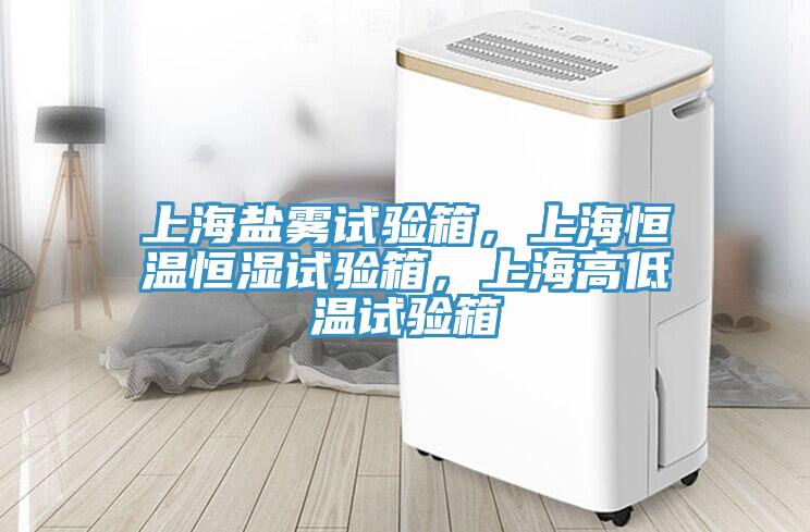 上海鹽霧試驗箱，上海恒溫恒濕試驗箱，上海高低溫試驗箱