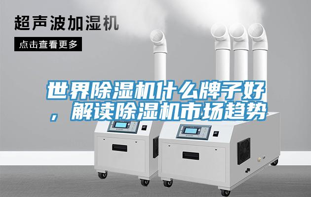 世界除濕機(jī)什么牌子好，解讀除濕機(jī)市場(chǎng)趨勢(shì)