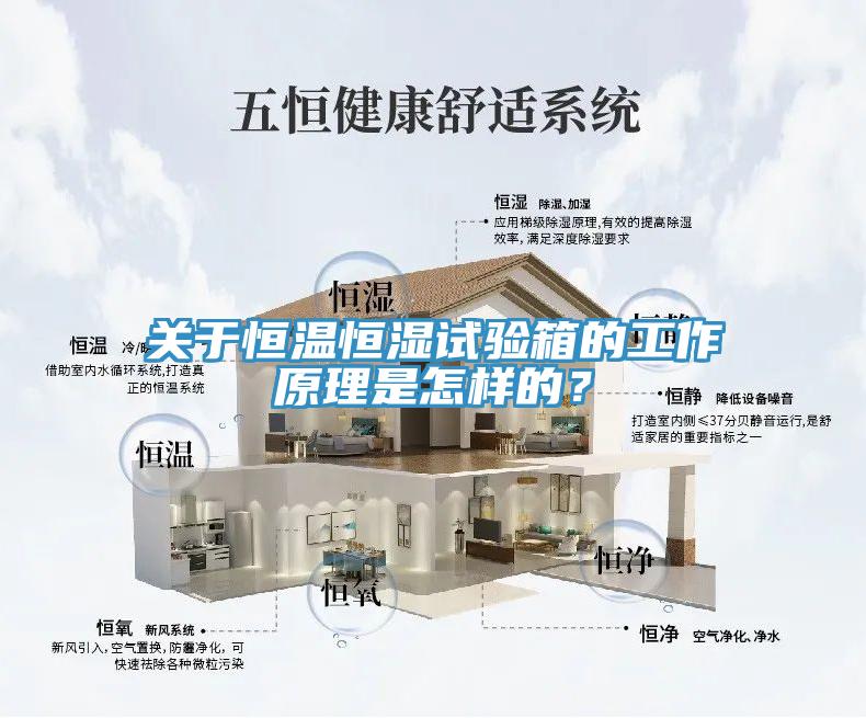 關(guān)于恒溫恒濕試驗箱的工作原理是怎樣的？