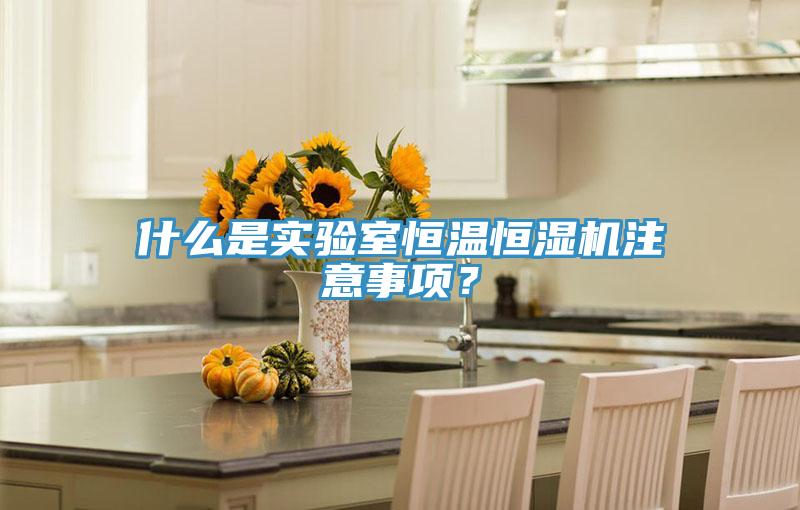 什么是實(shí)驗(yàn)室恒溫恒濕機(jī)注意事項(xiàng)？