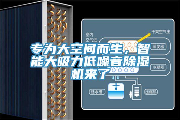 專為大空間而生，智能大吸力低噪音除濕機(jī)來了