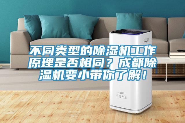 不同類型的除濕機工作原理是否相同？成都除濕機變小帶你了解！